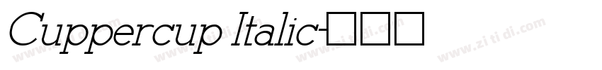 Cuppercup Italic字体转换
